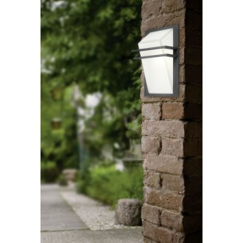 Eglo PARK Buitenmuur verlichting Antraciet, 1-licht