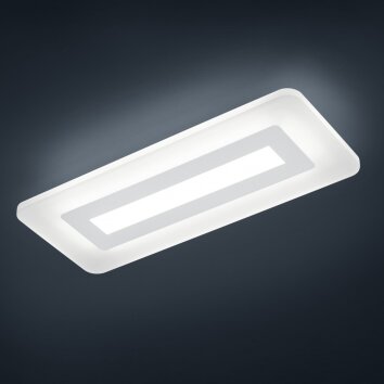 Helestra Wes Plafondlamp LED Grijs, Wit, 1-licht