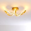 Woyens Plafondlamp LED Goud, 1-licht