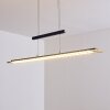 Junsele Hanglamp LED Zwart, 1-licht