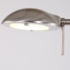 Steinhauer MEXLITE Staande lamp LED roestvrij staal, 1-licht