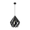 Eglo CARLTON Hanger Zwart, Zilver, 1-licht
