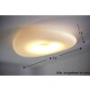 Linea Light Mr.Magoo Plafondlamp Wit, 1-licht
