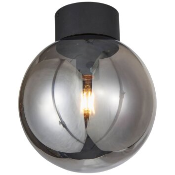 Brilliant Living Astro Plafondlamp Zwart, 1-licht