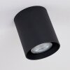 Awuna Plafondlamp Zwart, 1-licht