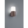Trio HOOSIC Buiten muurverlichting Roest, 1-licht