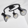 Holbol Plafondlamp Zwart, 3-lichts