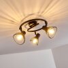 Holbol Plafondlamp Zwart, 3-lichts