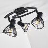 Holbol Plafondlamp Zwart, 3-lichts