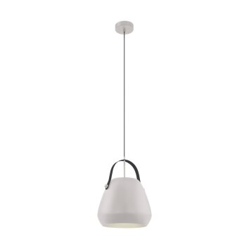 EGLO BEDNALL Hanger Grijs, Zwart, 1-licht