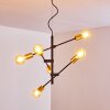 Coppet Hanglamp Zwart-Goud, 6-lichts