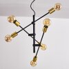 Coppet Hanglamp Zwart-Goud, 6-lichts