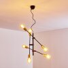 Coppet Hanglamp Zwart-Goud, 6-lichts