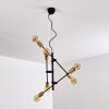 Coppet Hanglamp Zwart-Goud, 6-lichts