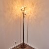Kitee Staande lamp Bruin, 6-lichts