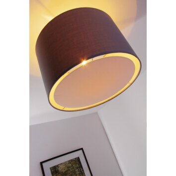 Brilliant Clarie Plafondlamp roestvrij staal, 1-licht
