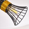 Ayen Plafondlamp Zwart-Goud, 3-lichts