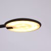 Steinhauer Zenith Tafellamp LED Zwart, 1-licht
