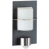 Albert 140 Buiten muurverlichting Antraciet, 1-licht, Bewegingsmelder