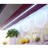 Paul Neuhaus TEANIA Lichtlijst LED Kleurrijk, 1-licht, Afstandsbediening, Kleurwisselaar