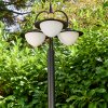 Theux Buiten staande lamp Goud, Zwart, 3-lichts