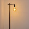 Pamunkey Staande lamp Zwart, 1-licht