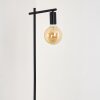 Pamunkey Staande lamp Zwart, 1-licht
