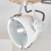 Coruna Plafondlamp Hout licht, Wit, 2-lichts