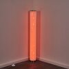 Tumba Staande lamp LED Wit, 1-licht, Afstandsbediening, Kleurwisselaar