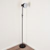 Timola Staande lamp Zwart, Wit, 1-licht