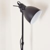 Timola Staande lamp Zwart, 1-licht