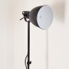 Timola Staande lamp Zwart, Wit, 1-licht