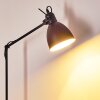 Timola Staande lamp Zwart, 1-licht
