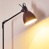 Timola Staande lamp Zwart, Wit, 1-licht