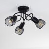 Cairns Plafondlamp Zwart, 3-lichts