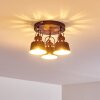 Safari Plafondlamp Roest, 3-lichts