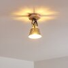Berkeley Plafondlamp Hout licht, Gegalvaniseerd, 1-licht