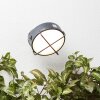 Brilliant Nyx Buiten muurverlichting LED Antraciet, 1-licht