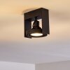 Grytgol Plafondlamp Zwart, 1-licht