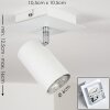 Zuoz Plafondlamp Wit, 1-licht