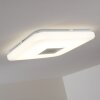 Lumsden Plafondlamp LED Grijs, 1-licht, Afstandsbediening