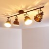 Safari Plafondlamp Roest, 4-lichts