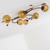 Virga Plafondlamp Bruin, 6-lichts