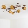 Virga Plafondlamp Bruin, 6-lichts