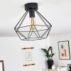 Cenova Plafondlamp Zwart, 1-licht