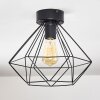 Cenova Plafondlamp Zwart, 1-licht