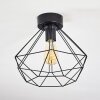 Cenova Plafondlamp Zwart, 1-licht
