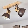 Orny Plafondlamp Antraciet, Hout licht, 2-lichts