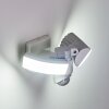 Foroyar Buiten muurverlichting LED Wit, 2-lichts, Bewegingsmelder