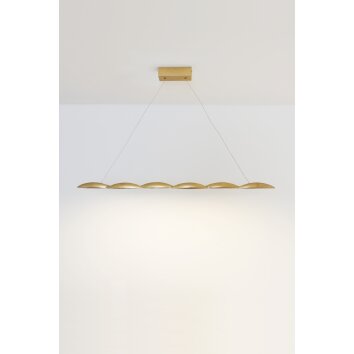 Holländer FARAONE Hanger LED Goud, 6-lichts